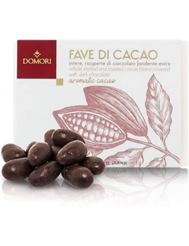 Fave di Cacao Domori - 100 gr.